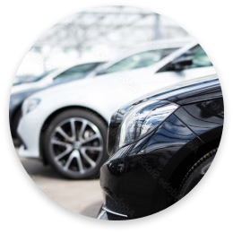 Brand-new cars lined up in the showroom
